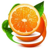 橙子视频app免费安装