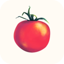 金缕番茄直播手机app官方版免费安装