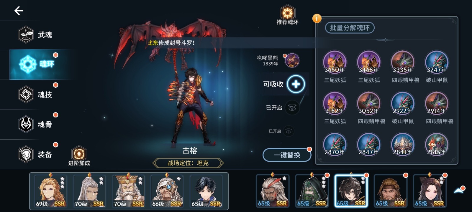 斗罗大陆心得和内丹怎么选