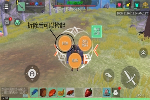 创造与魔法辣椒哪里有