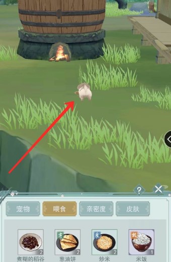 江湖悠悠怎么清理宠物便便 江湖悠悠怎么清理宠物便便