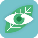 护眼助手