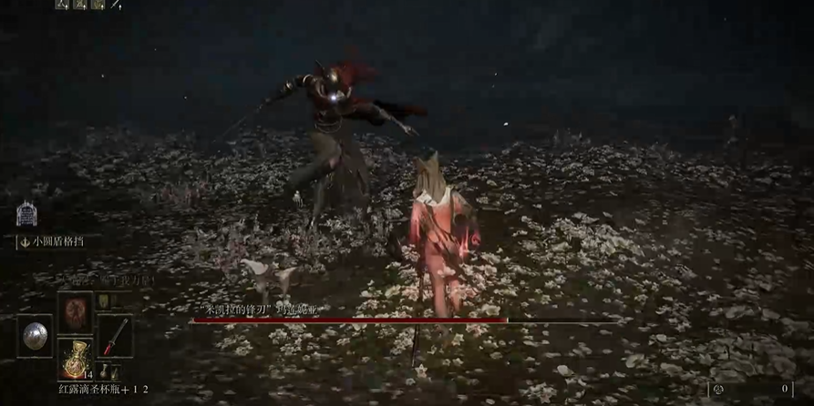 艾尔登法环女武神怎么躲水鸟 艾尔登法环女武神怎么躲水鸟