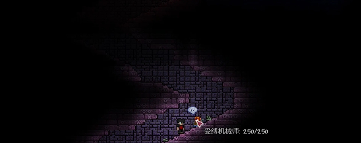 泰拉瑞亚机械师卖什么物品