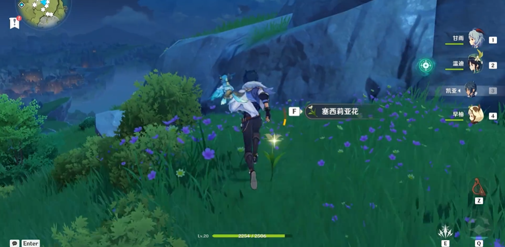 原神塞西莉亚花采集地点在哪 原神塞西莉亚花采集地点在哪