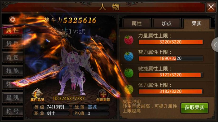 全民奇迹魔剑士技能怎么学