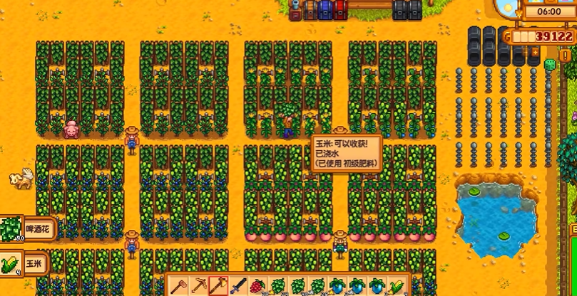星露谷物语前期种什么植物最好