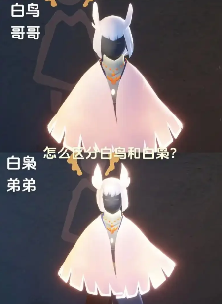 光遇白鸟是什么意思 光遇白鸟是什么意思