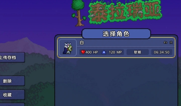 泰拉瑞亚气球类饰品有哪些