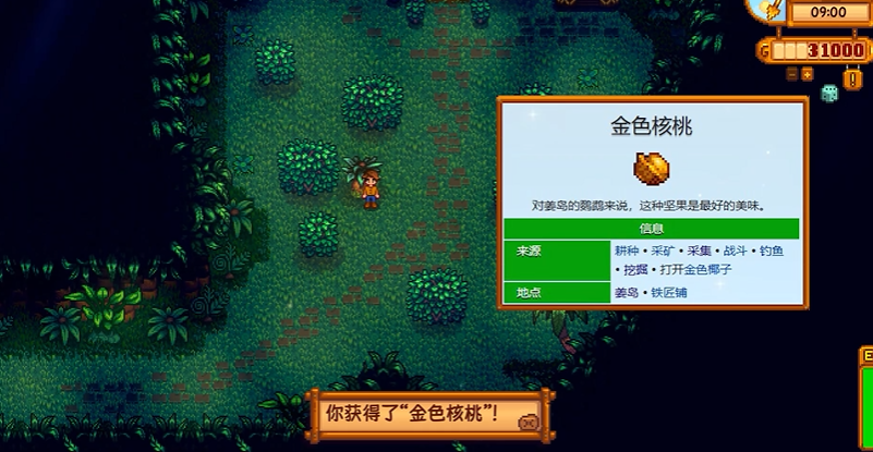 星露谷物语金色核桃怎么获得