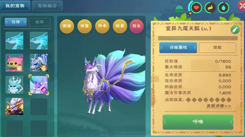 创造与魔法战斗宠物哪个好 创造与魔法战斗宠物哪个好