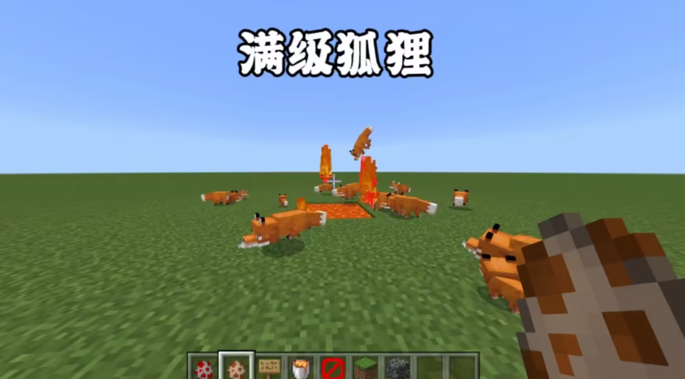 我的世界狐狸可以干什么