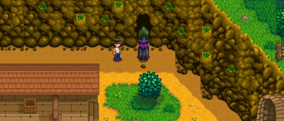 星露谷物语巫师前妻的任务是什么