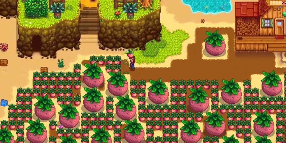 星露谷物语第一年夏天种什么