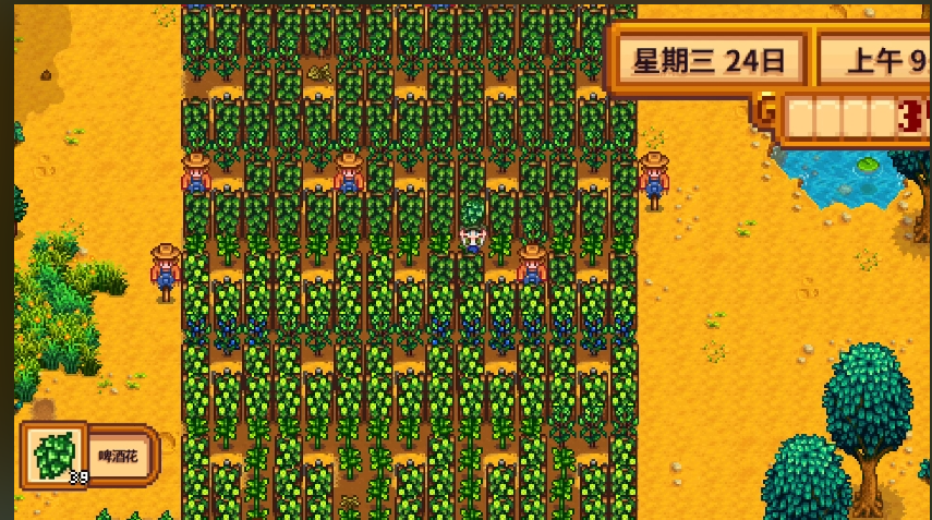 星露谷物语杨桃和啤酒花种那个好