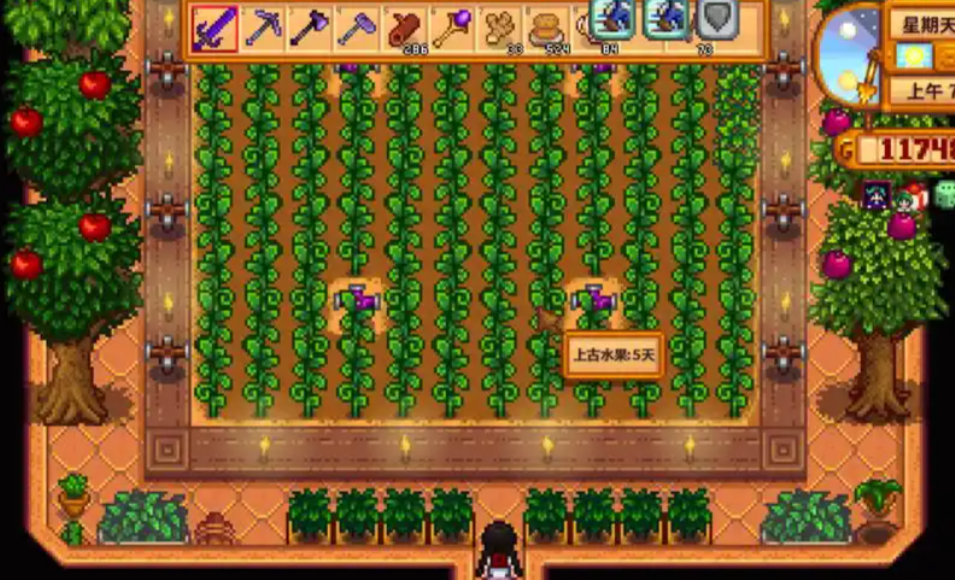 ​星露谷物语第一年冬天屯什么