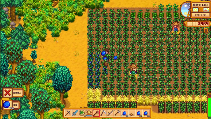 ​星露谷物语夏天怎么赚钱最快