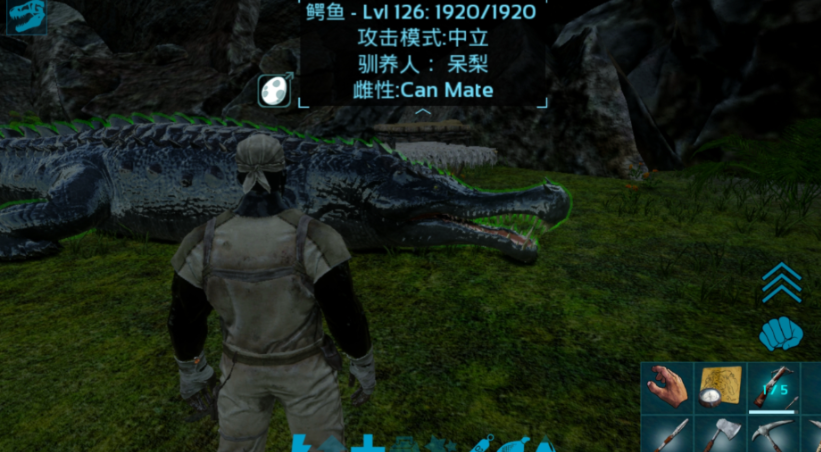 ​方舟生存进化怎么驯化宠物