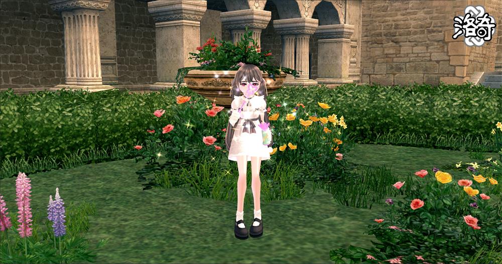 《洛奇》超多福利,寻找幸福的足迹活动火热进行中