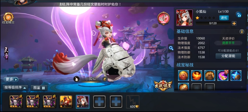 乱斗西游2宠物怎么弄