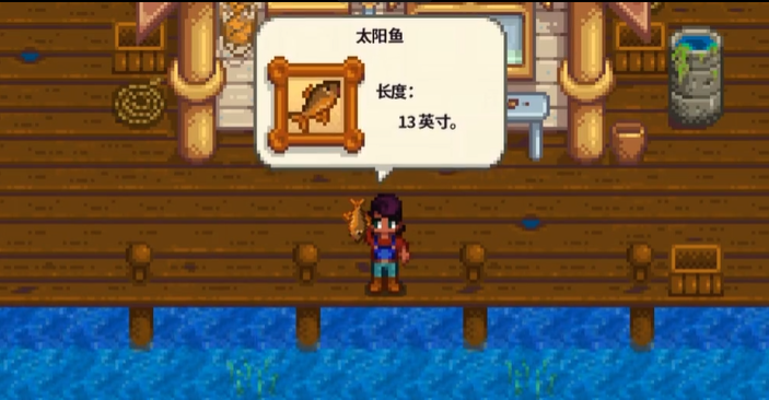 星露谷物语太阳鱼去哪里钓