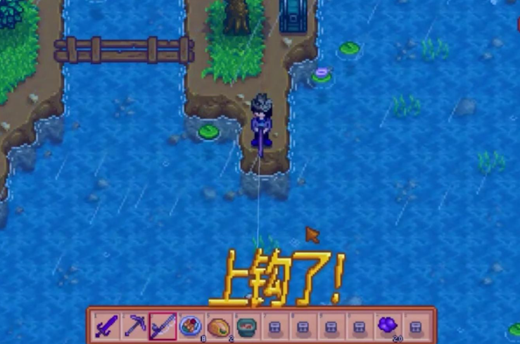 星露谷物语海莉怎么10心