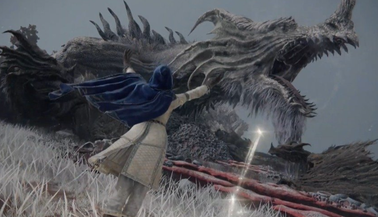 艾尔登法环打白龙用什么武器